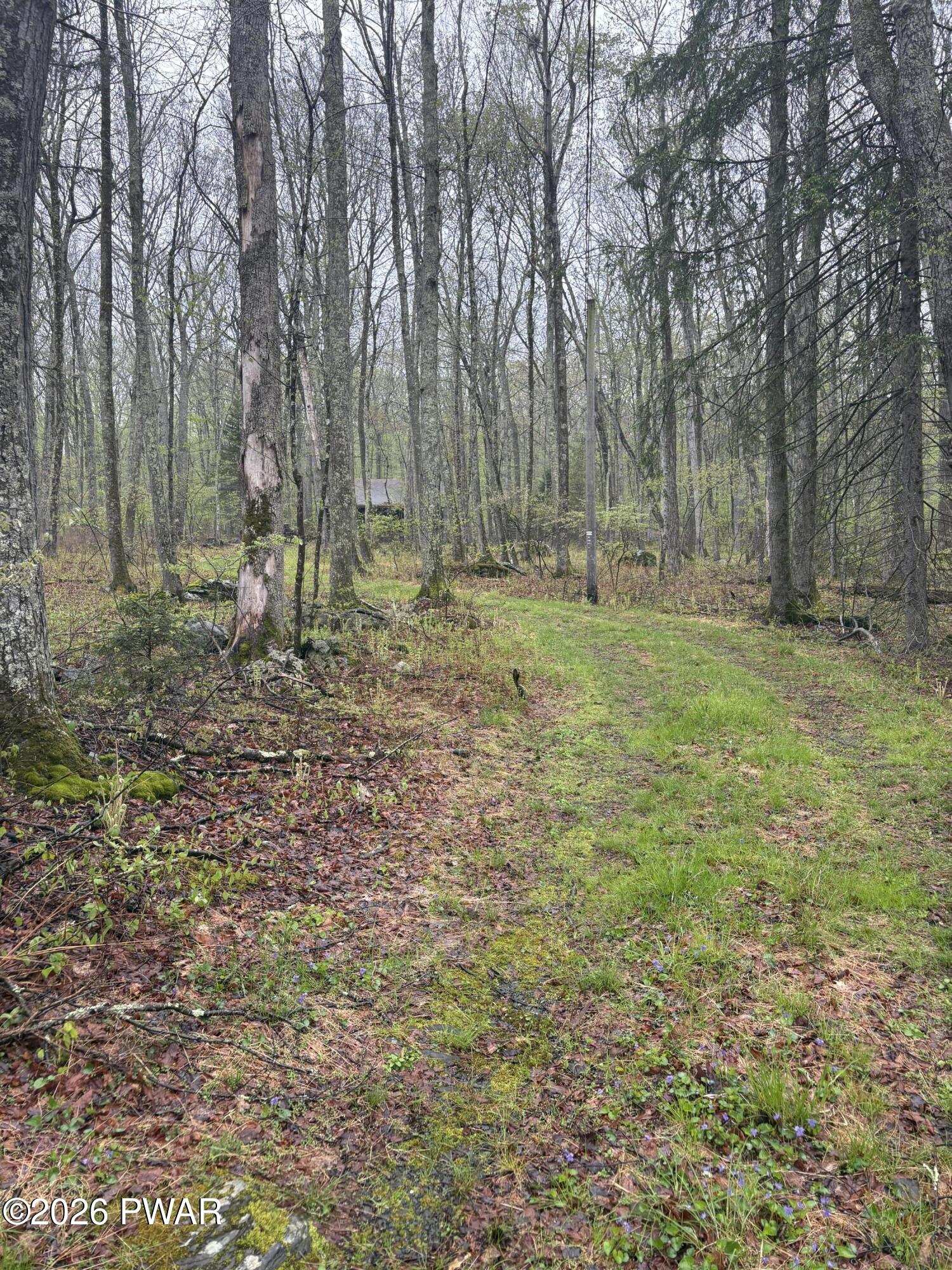 160 Five Mile Meadow