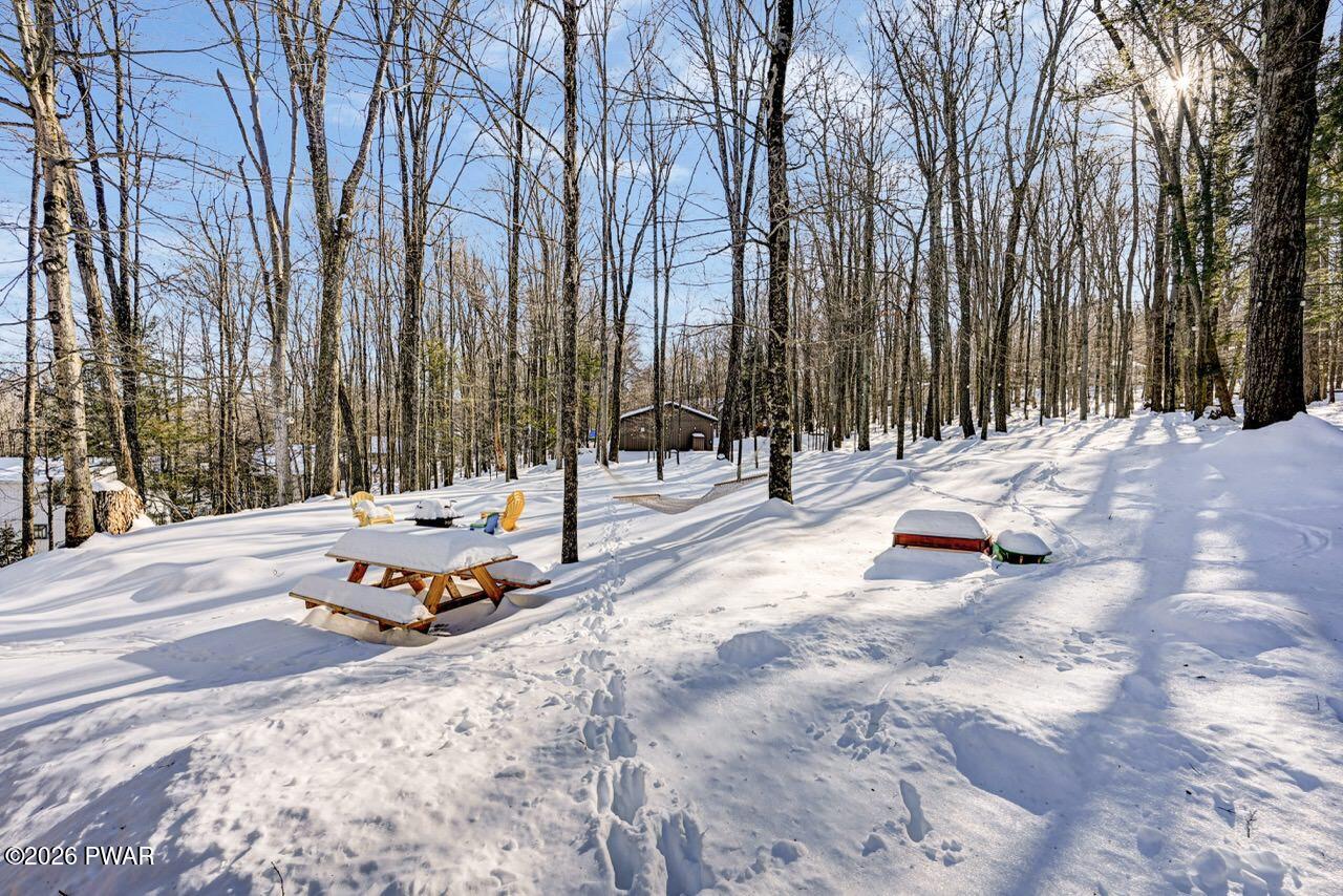 1186 Commanche Circle