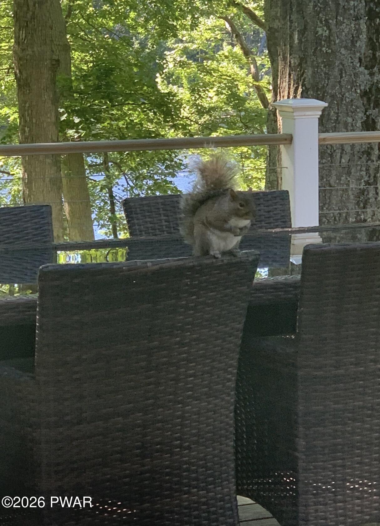 211 Brandyshire Drive