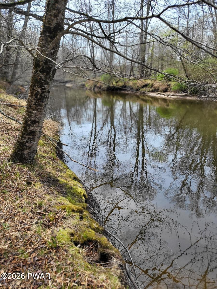 Rainbow Trout Terrace