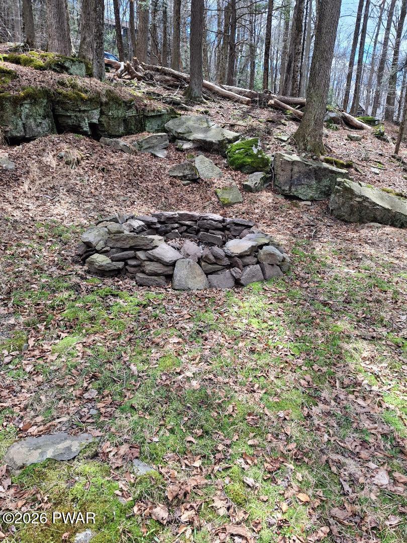 Rainbow Trout Terrace