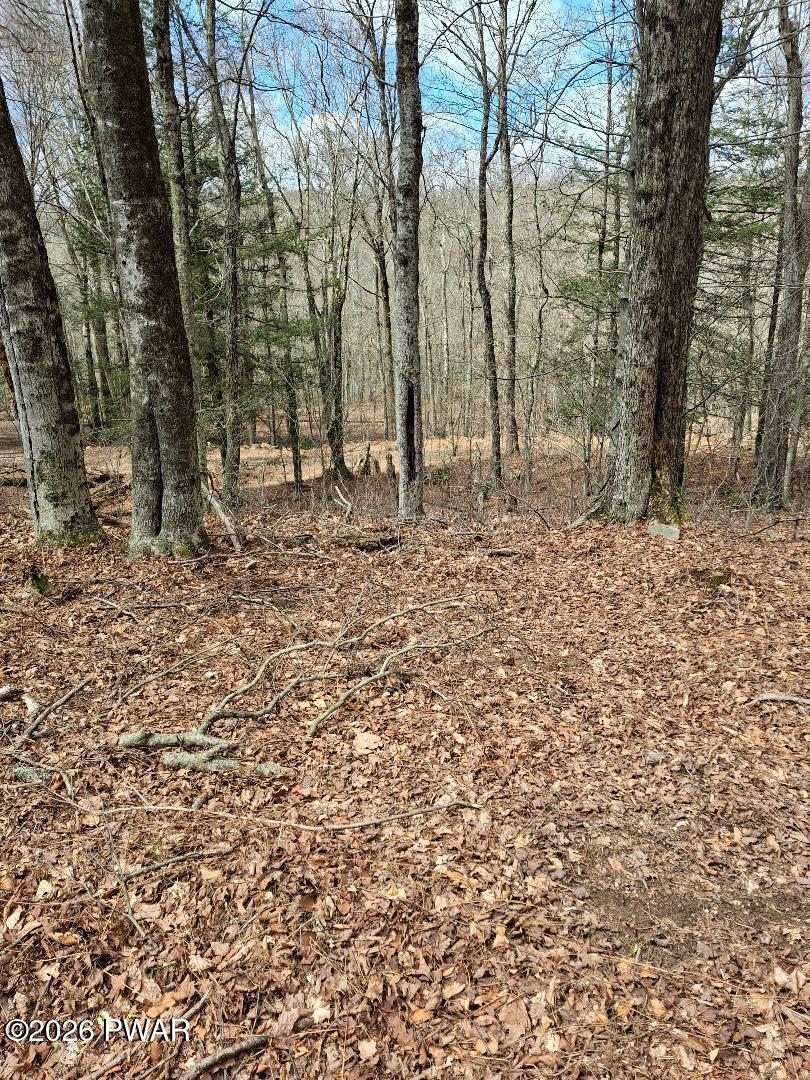 Rainbow Trout Terrace