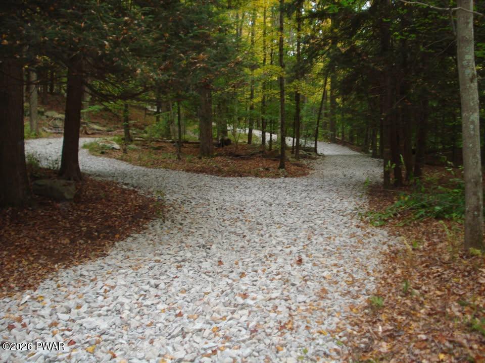 Rainbow Trout Terrace