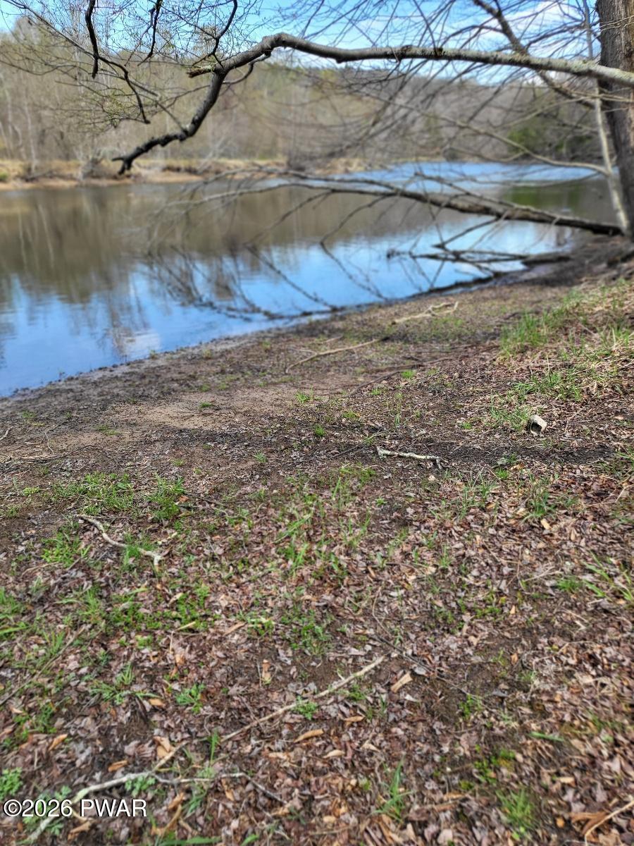 Rainbow Trout Terrace