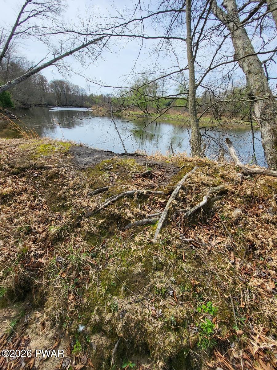 Rainbow Trout Terrace