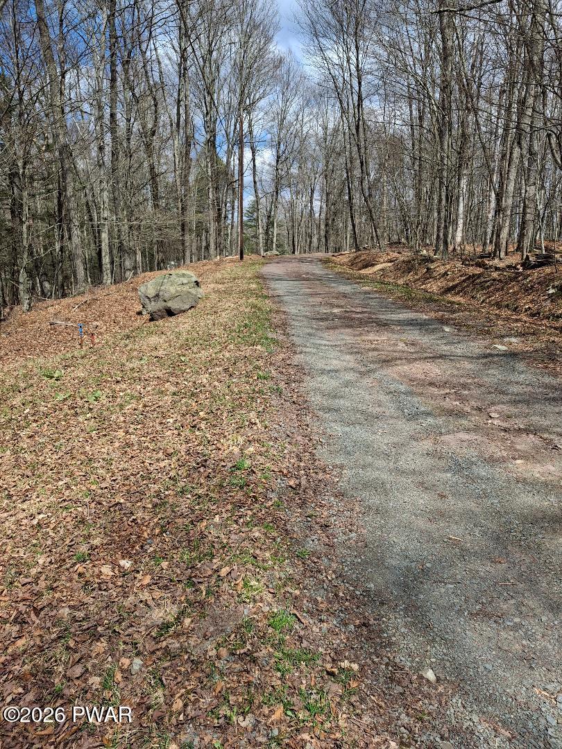 Rainbow Trout Terrace
