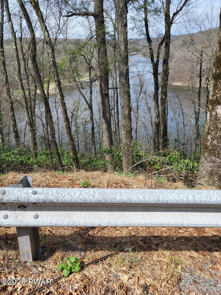 Rainbow Trout Terrace