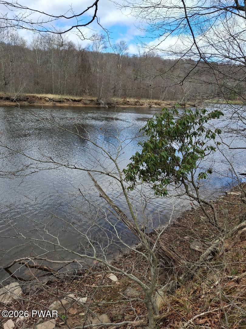 Rainbow Trout Terrace