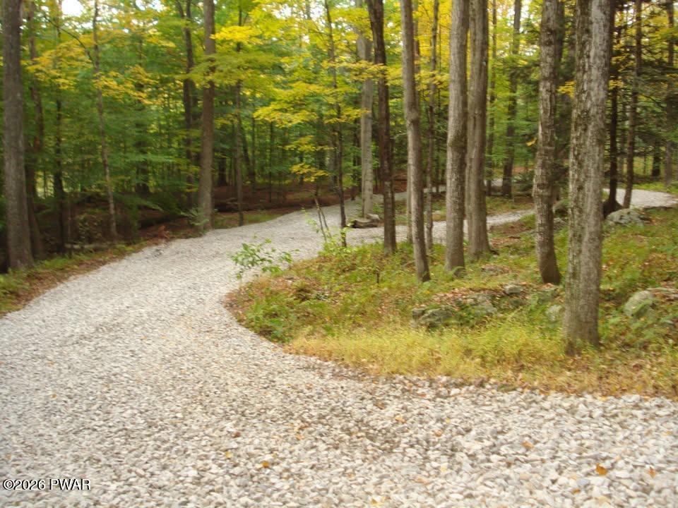 Rainbow Trout Terrace