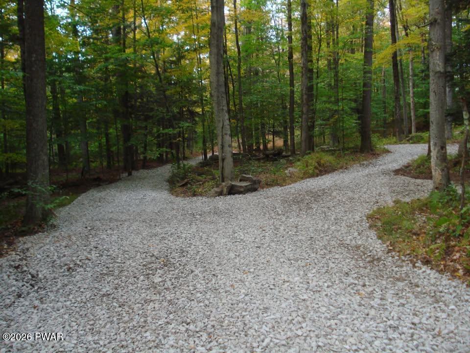Rainbow Trout Terrace