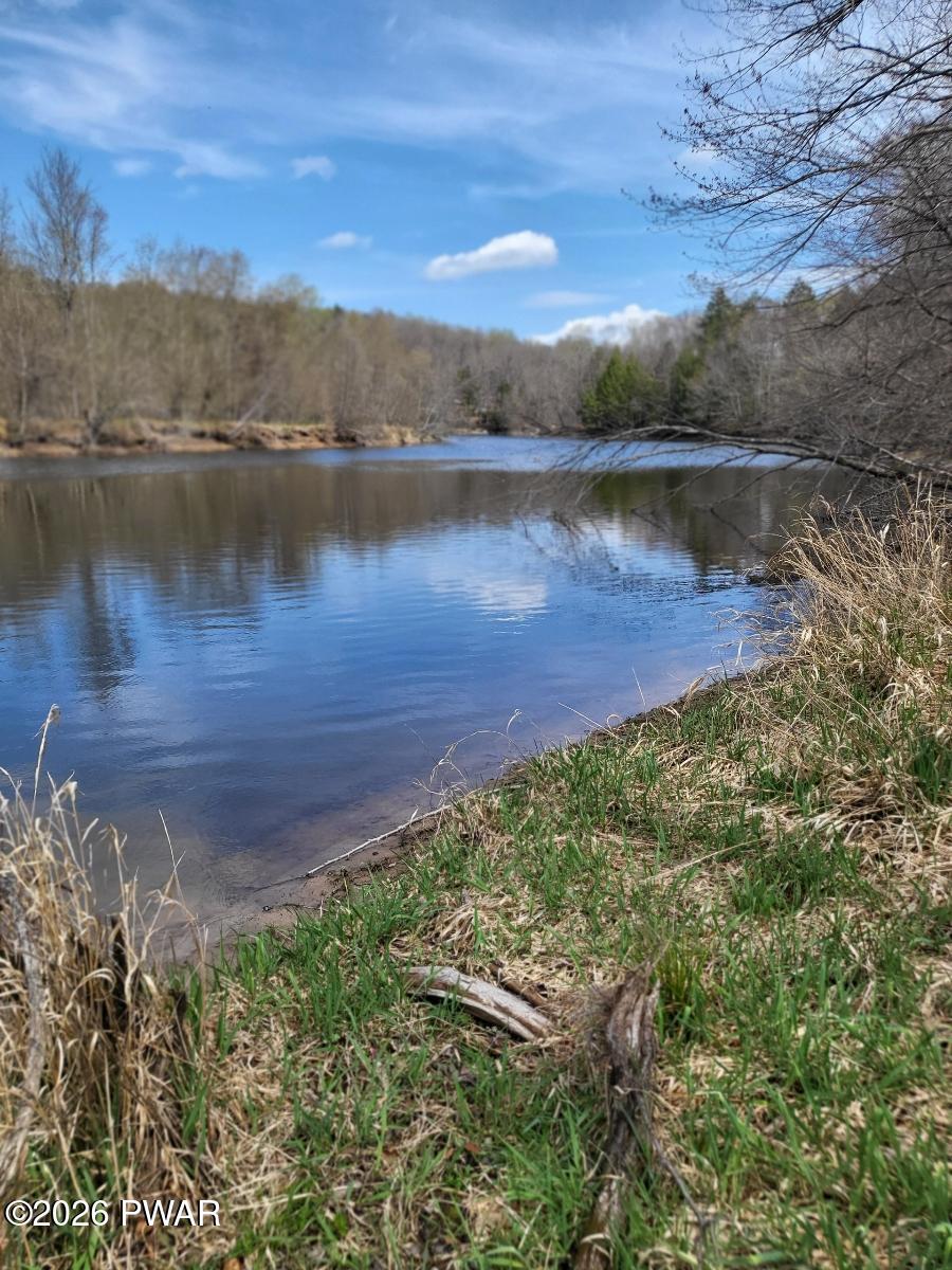 Rainbow Trout Terrace