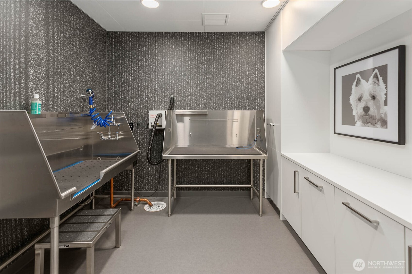 121 Stewart Street Unit: 407
