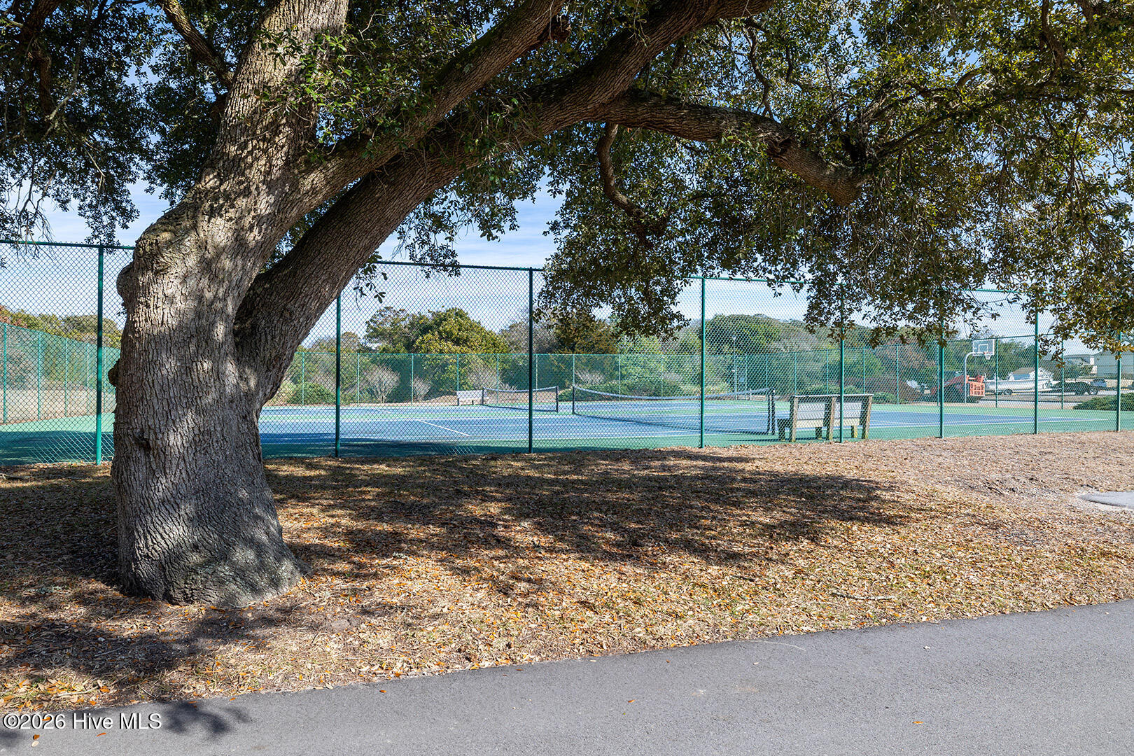 8801 Reed Drive 115w