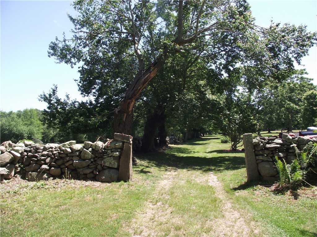 Grassy driveway entrance between stone walls beneath mature trees.