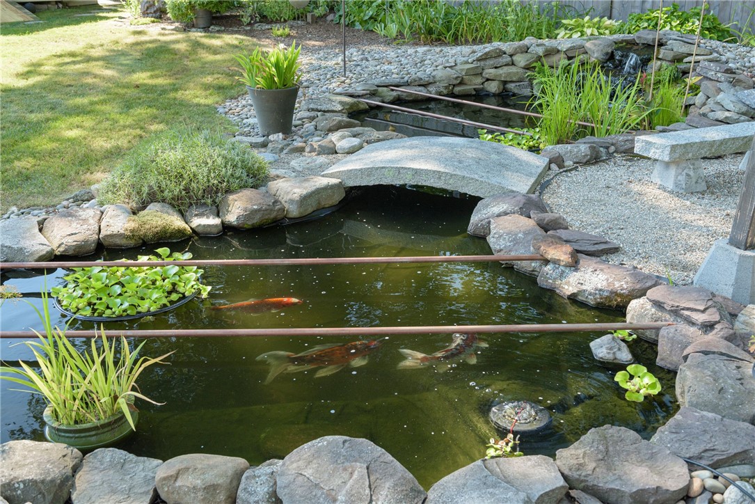 Koi pond bordered by rocks and plants, with a small stone bridge.