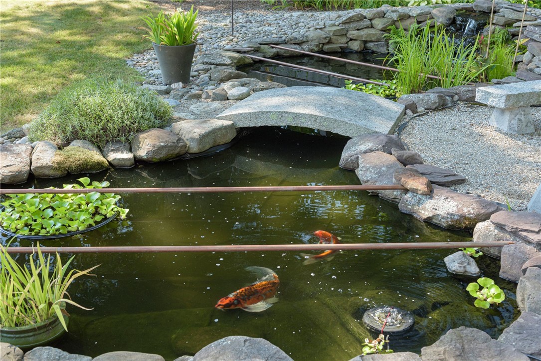 Koi pond with a flat stone bridge, rock edging, and aquatic plants.
