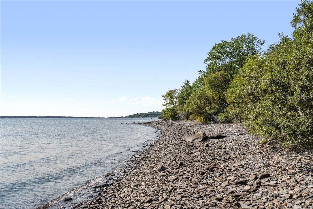 Rocky shoreline beside calm water, with dense green trees along the bank.