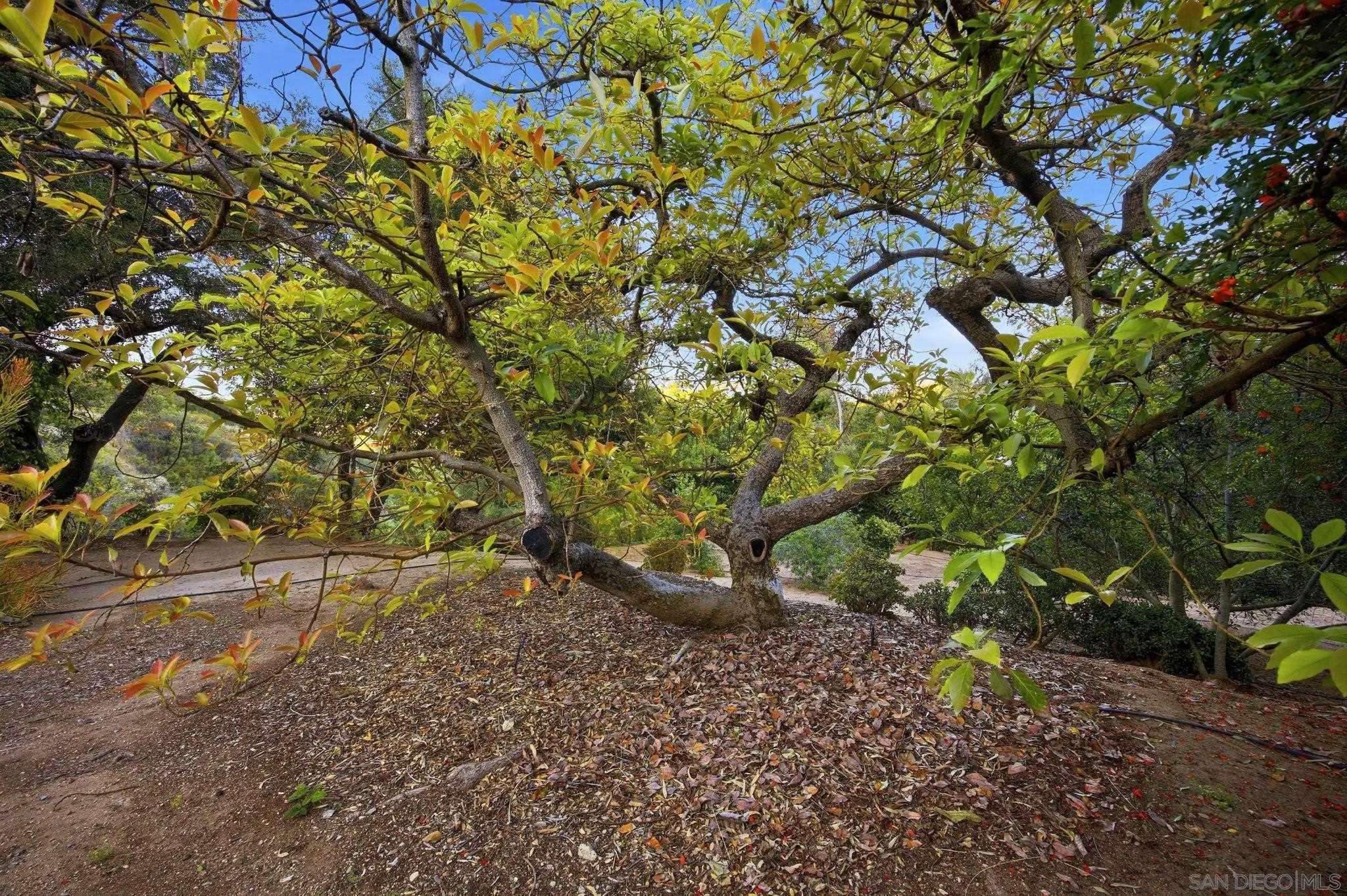 1010 Quail Creek