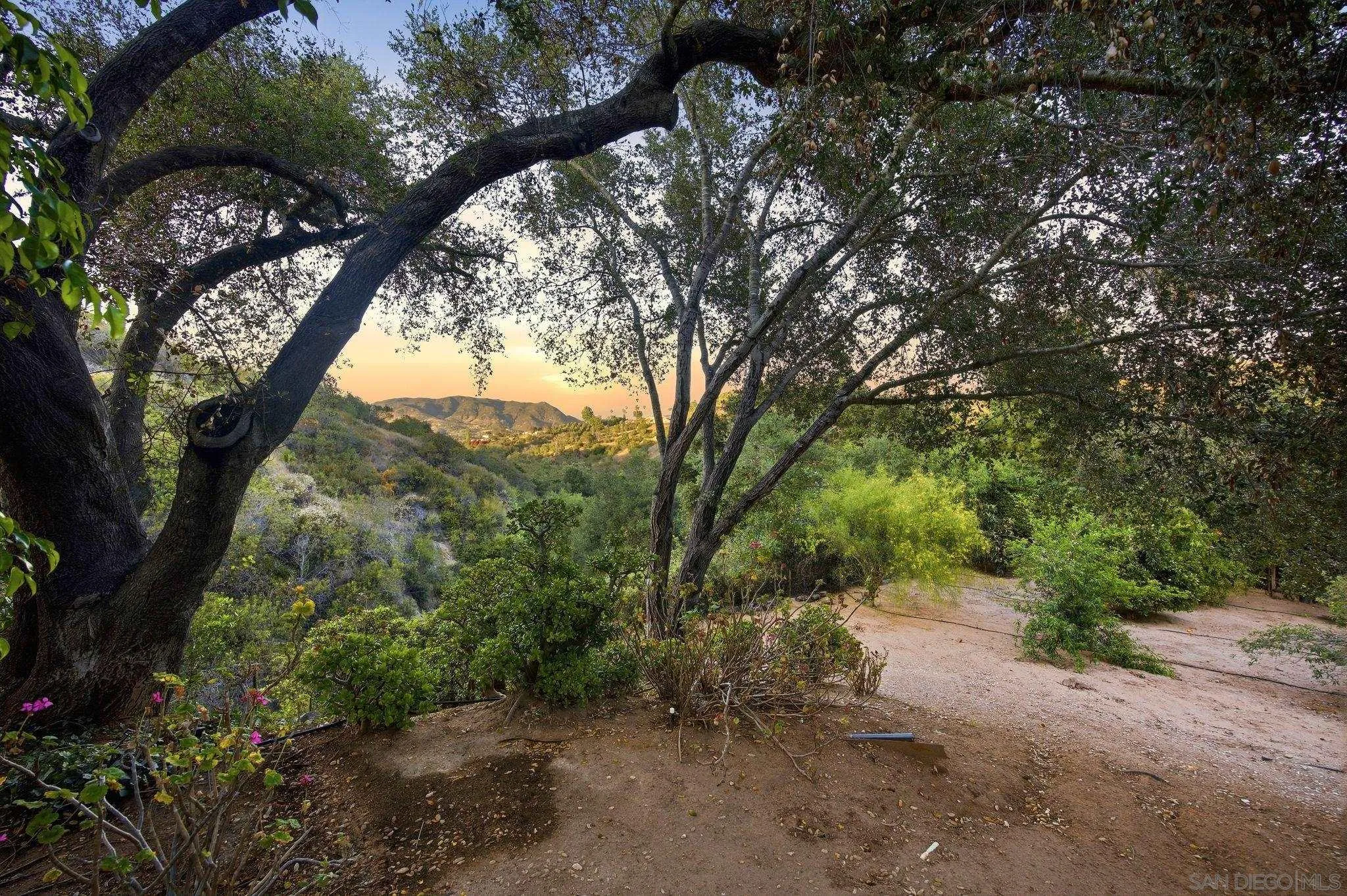 1010 Quail Creek