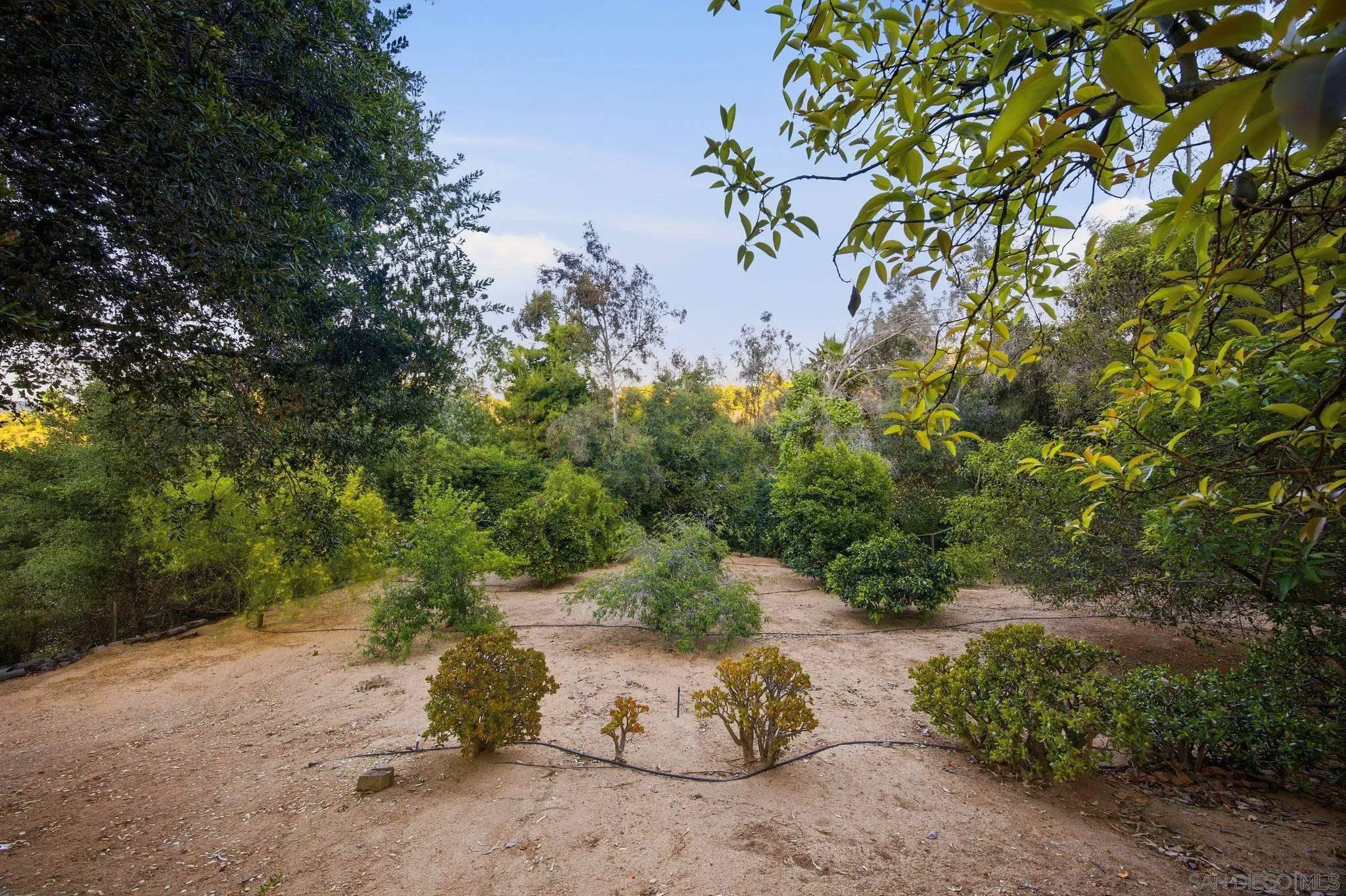 1010 Quail Creek