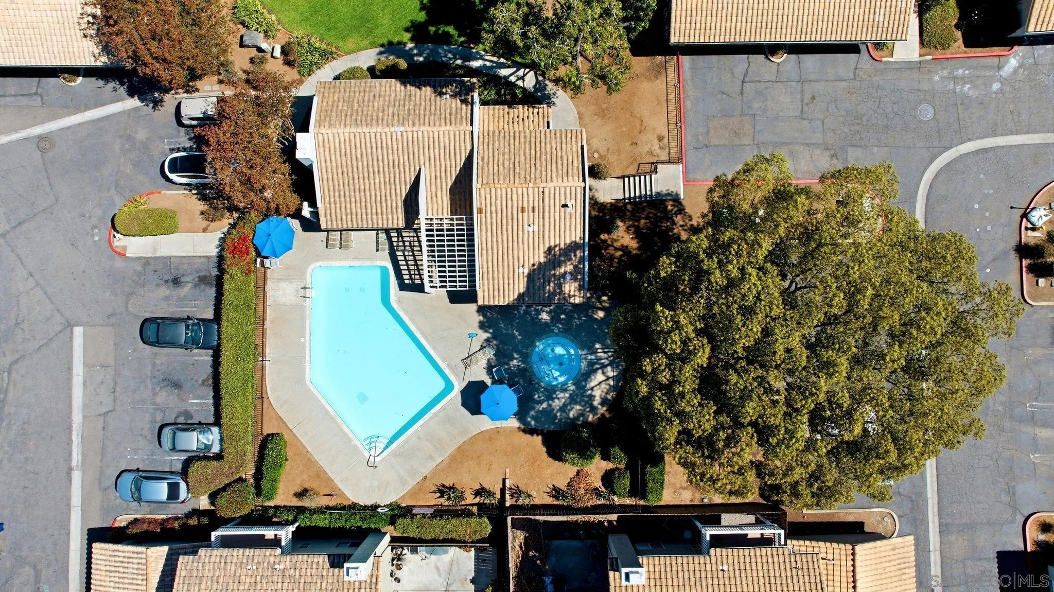 1382 Palomar