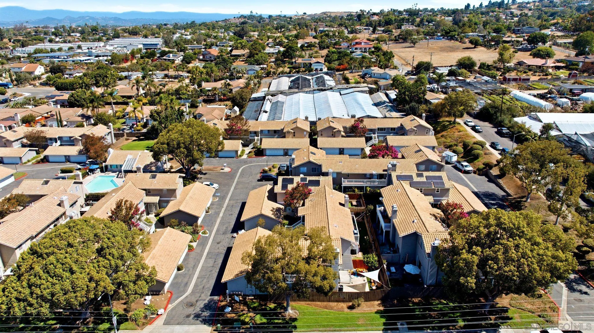 1382 Palomar