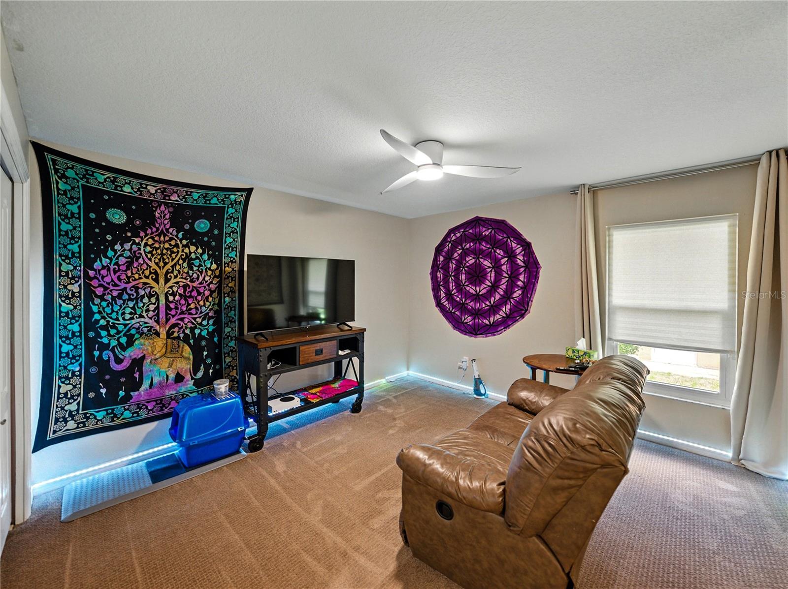 3909 VALRICO GROVE DR