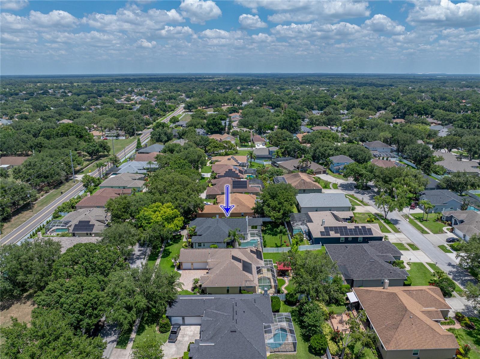 3909 VALRICO GROVE DR