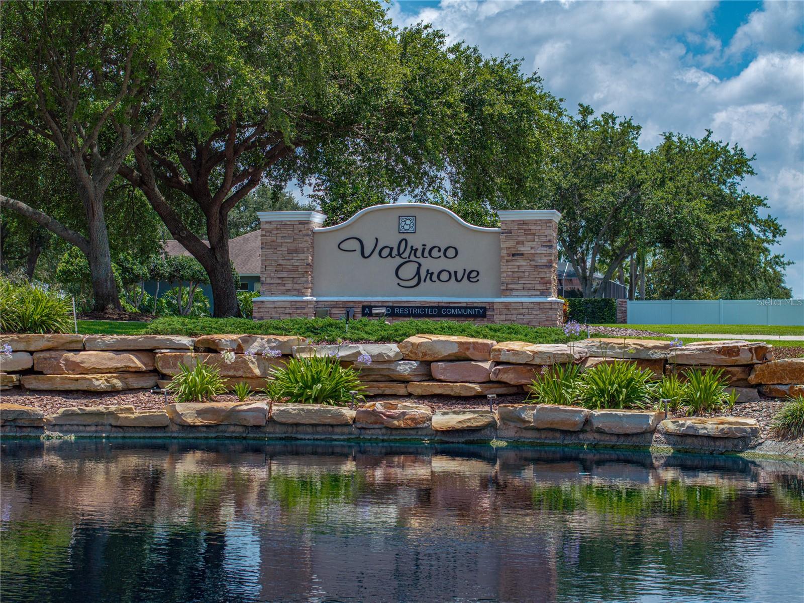 3909 VALRICO GROVE DR