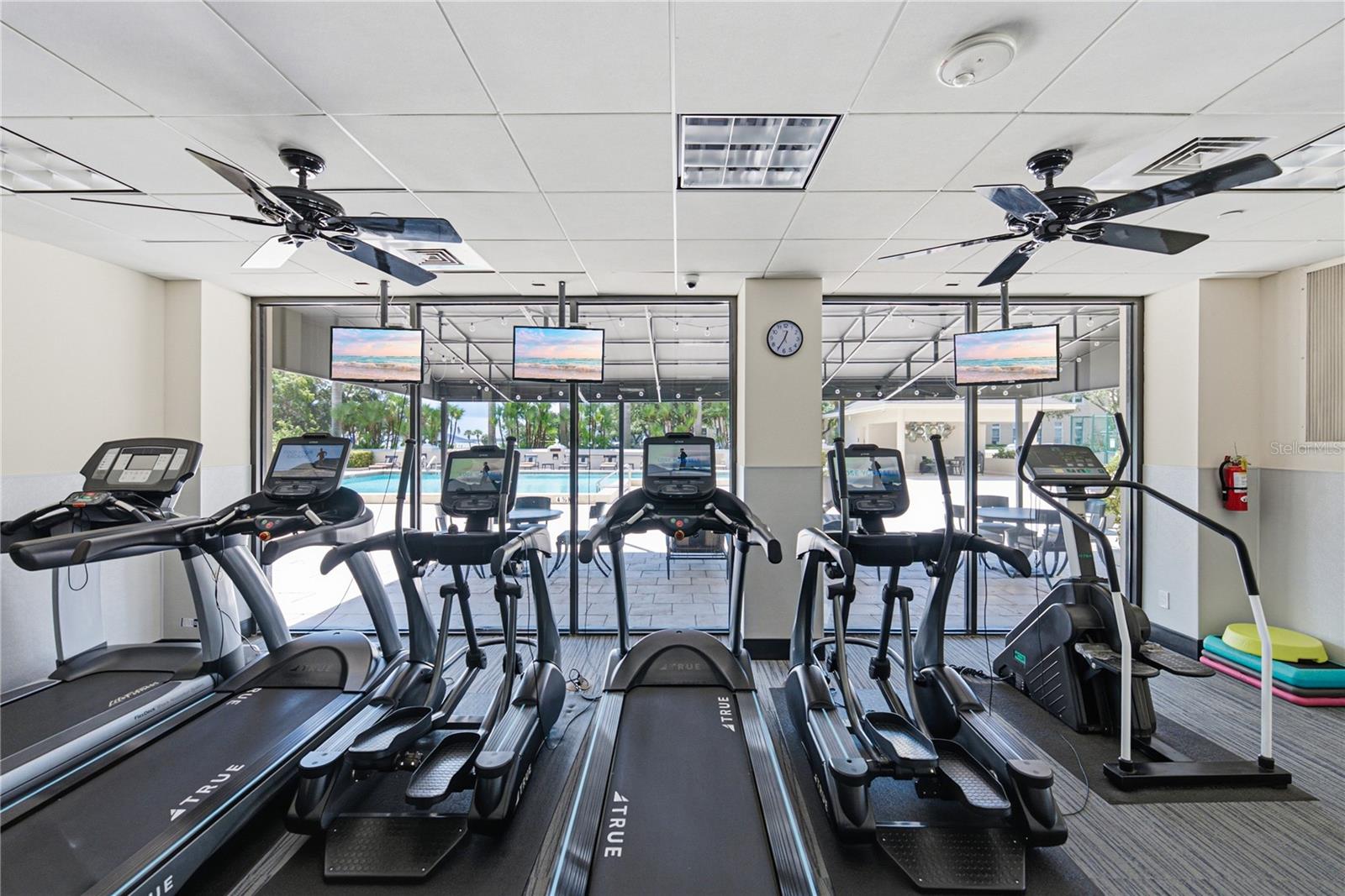3301 BAYSHORE BLVD #2209A