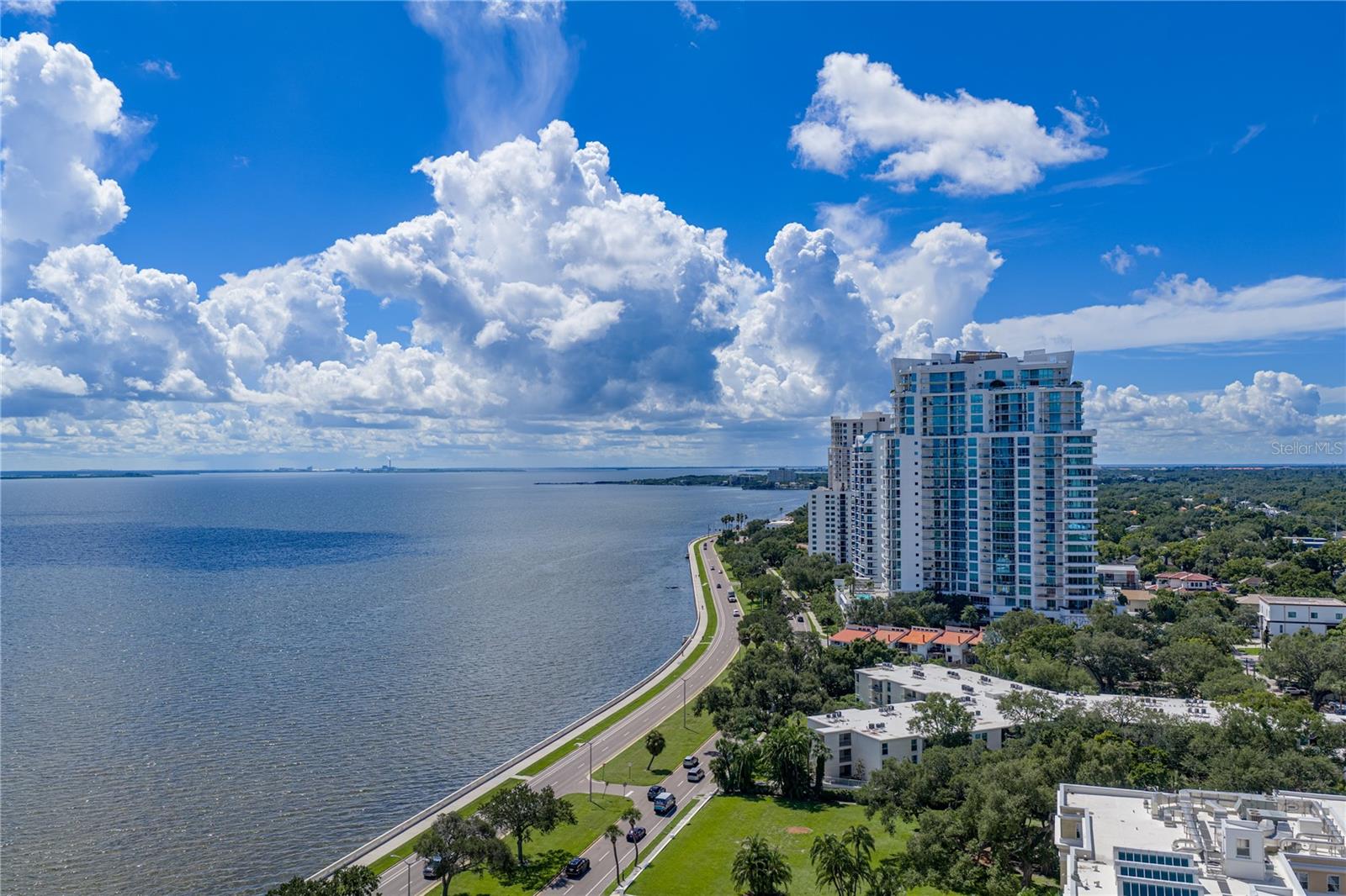 3301 BAYSHORE BLVD #2209A