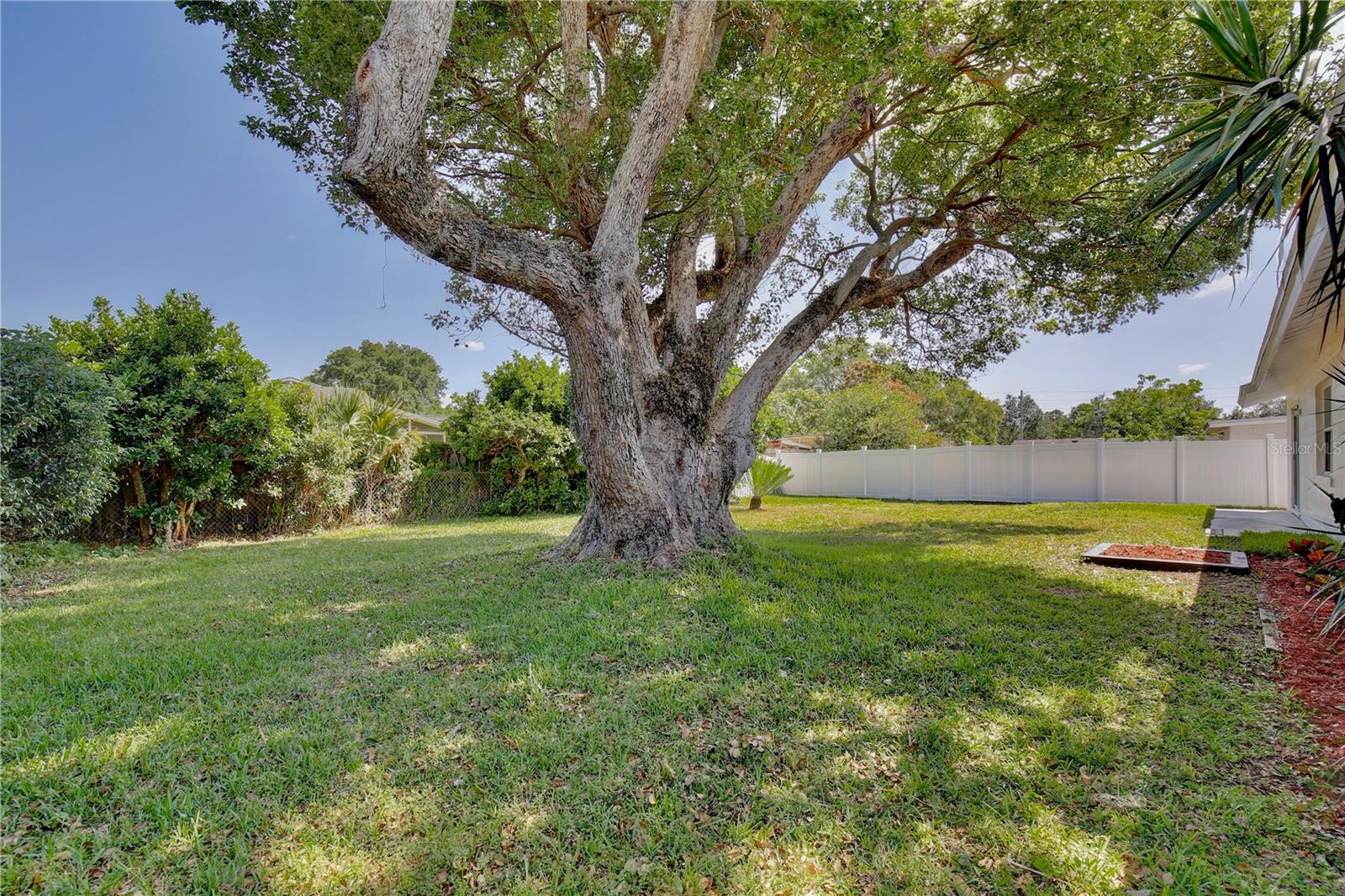 10637 KAIN CT