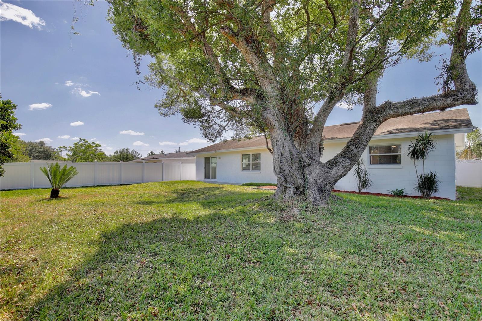 10637 KAIN CT