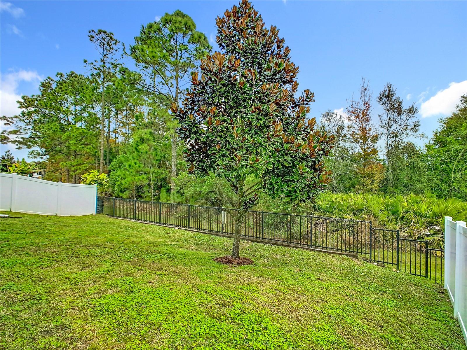10759 PETRILLO WAY