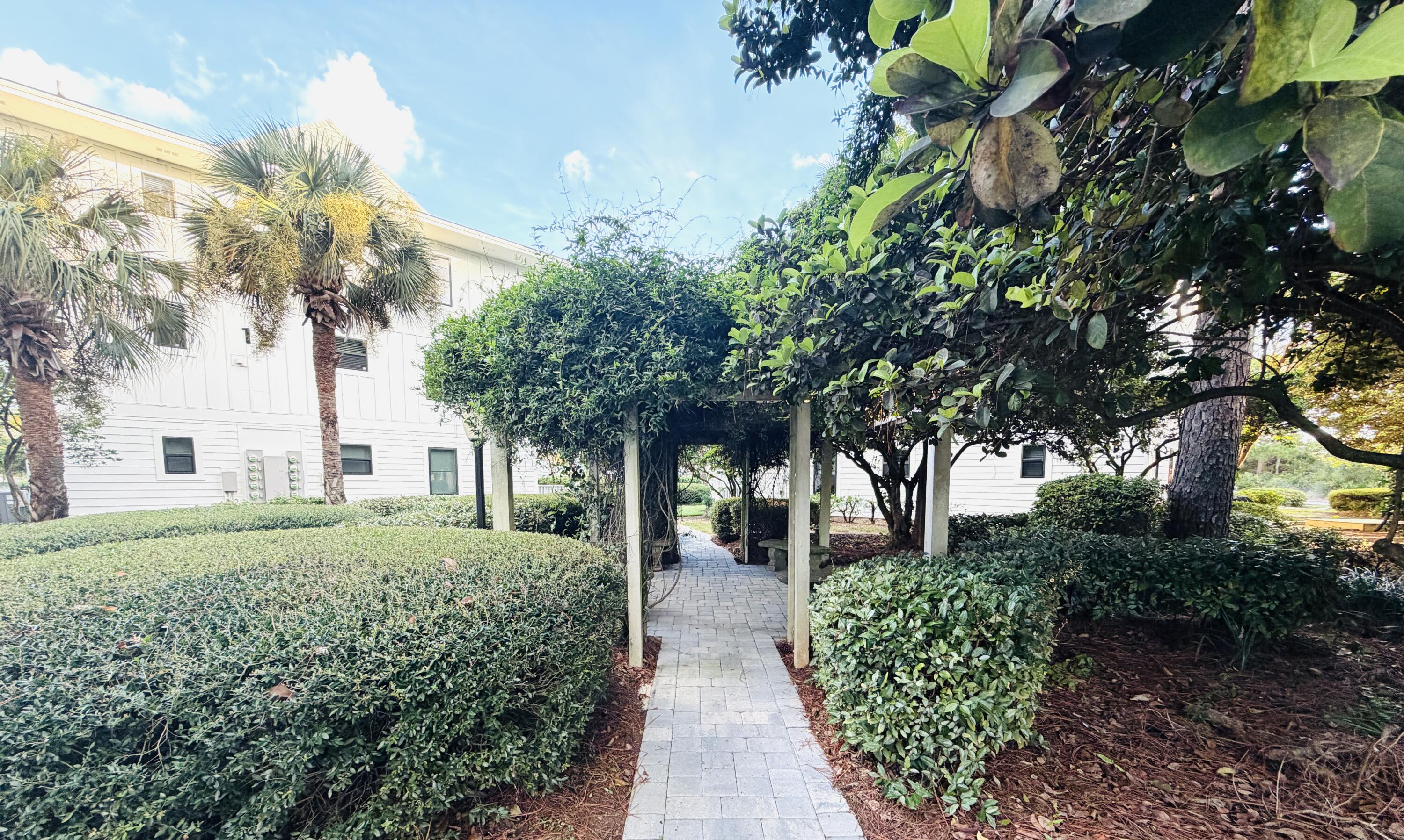 Paved courtyard walkway beneath a leafy pergola, bordered by hedges and mature trees.