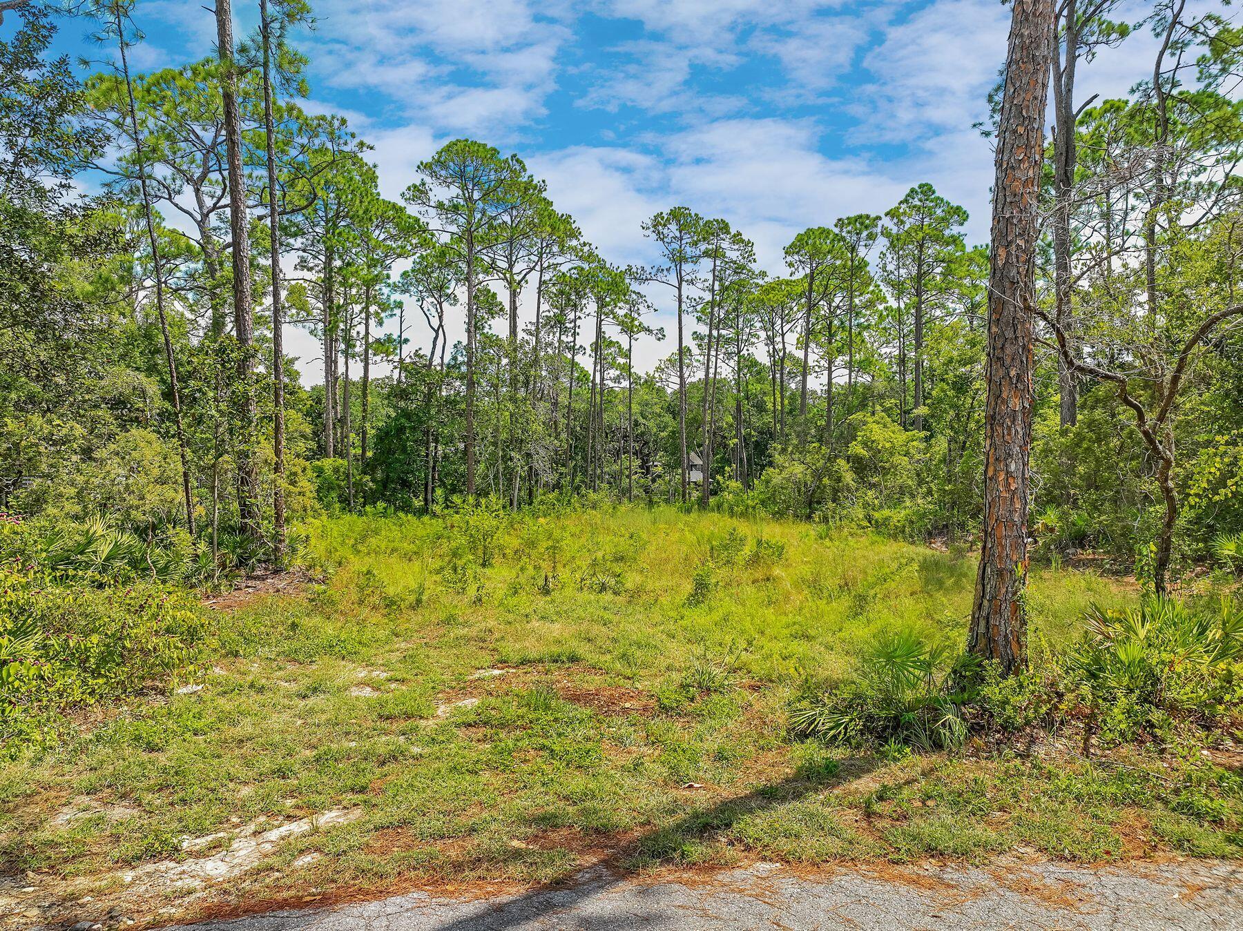 Lot 8 Adair Lane