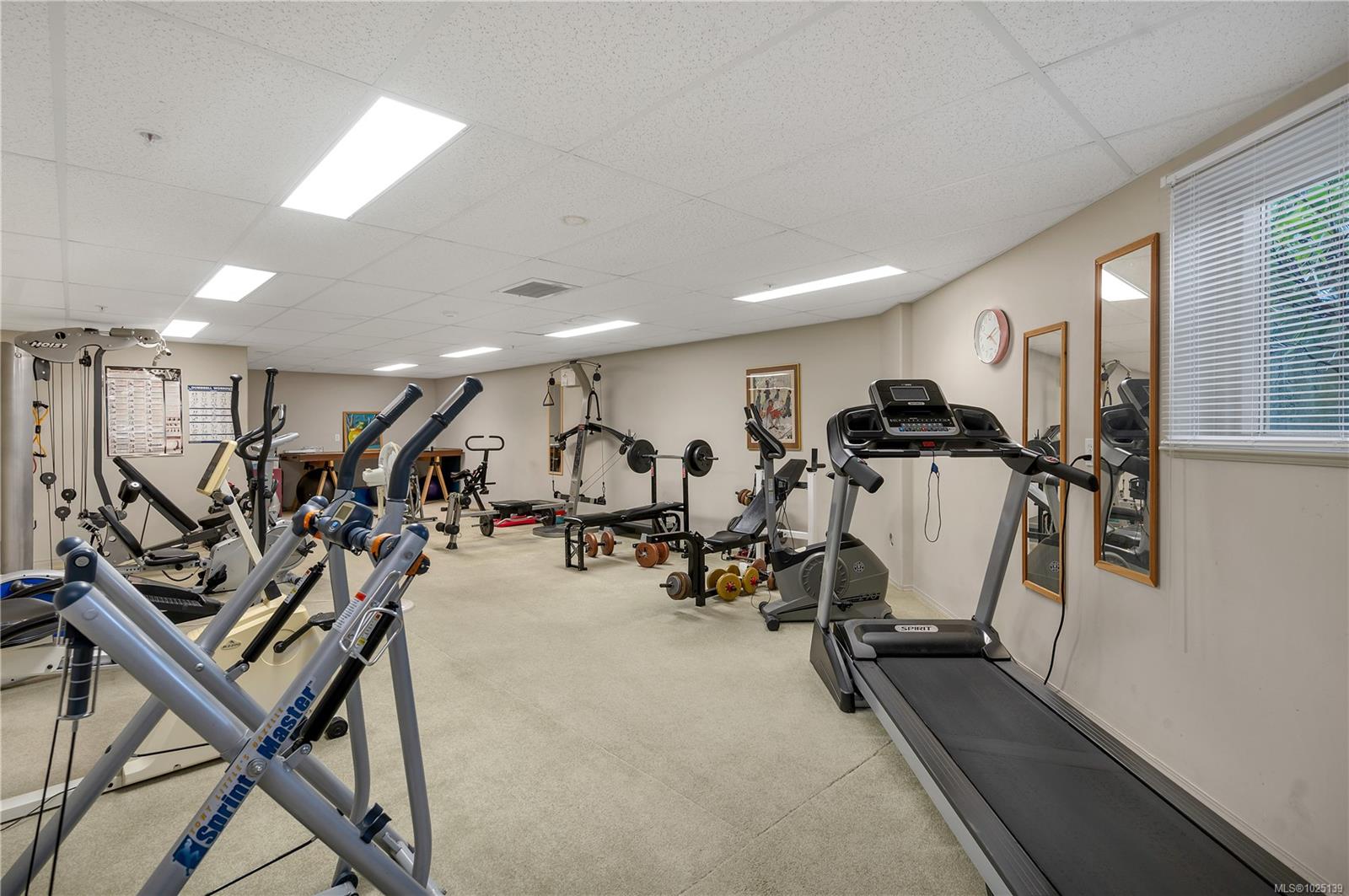 350 Island Hwy S # 407