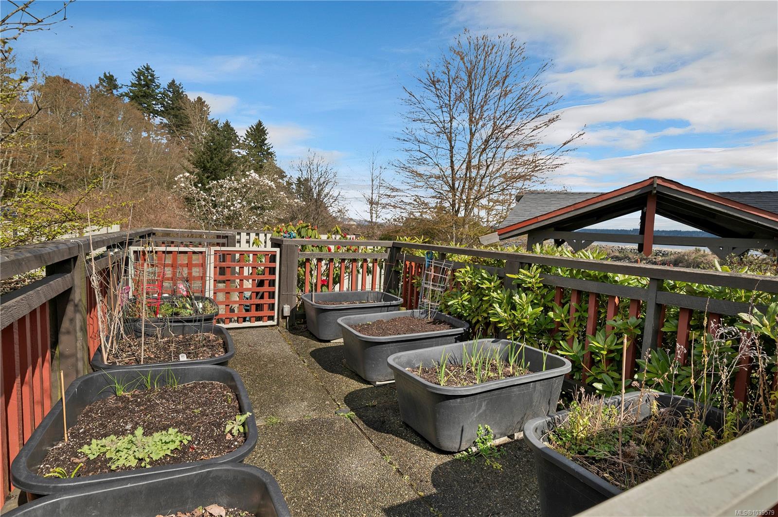 27 Island Hwy S #1202