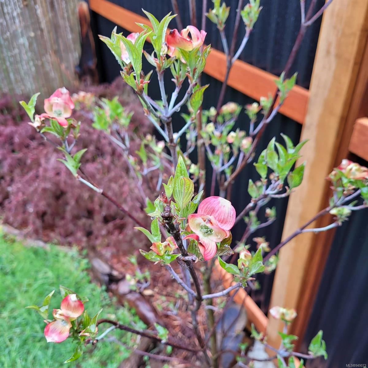 581 DOGWOOD St Unit: 5