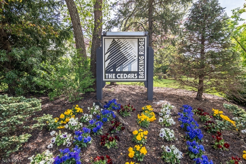 245 Crabtree Ct
