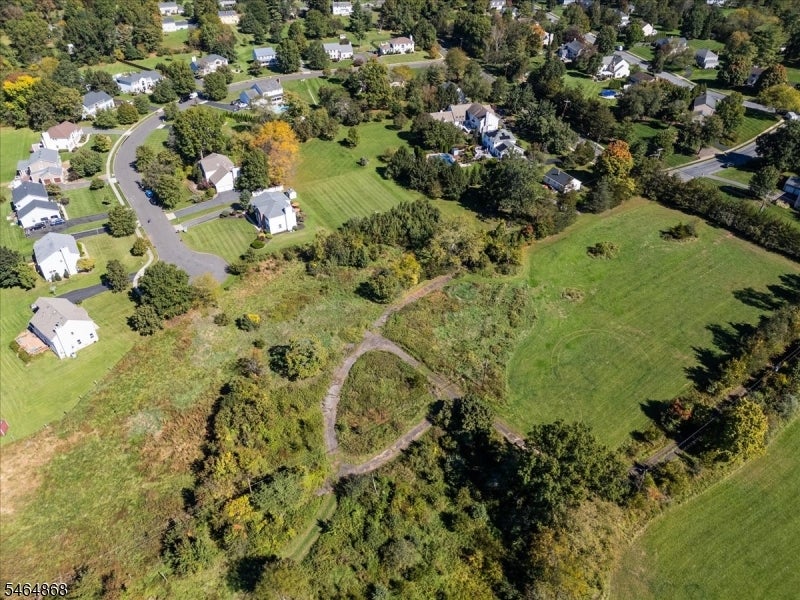 Aerial view of a grassy, wooded property beside a neighborhood of homes.