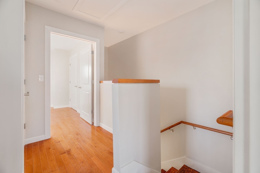 1 Finch Street # 1
