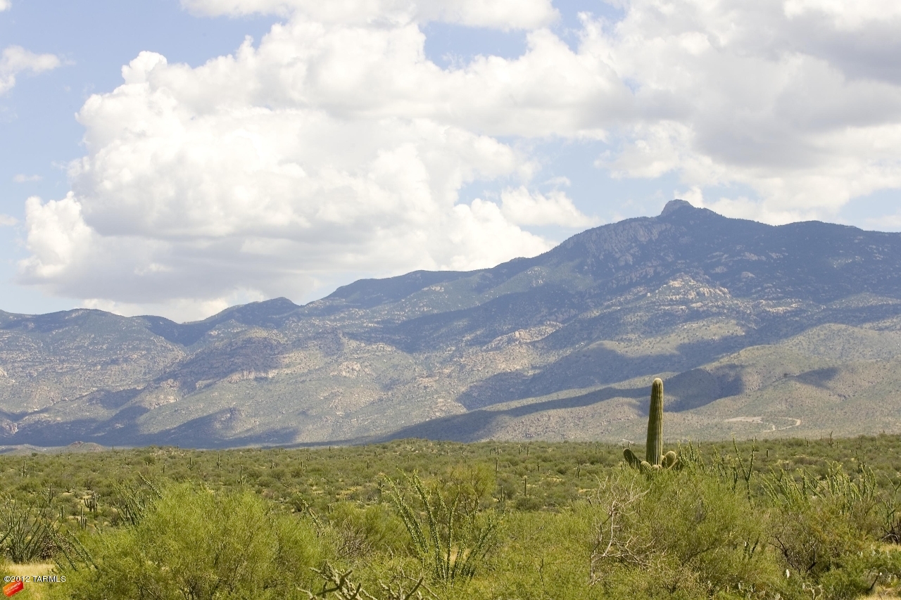 15510 E Tumbling Q Ranch Place Unit: 154