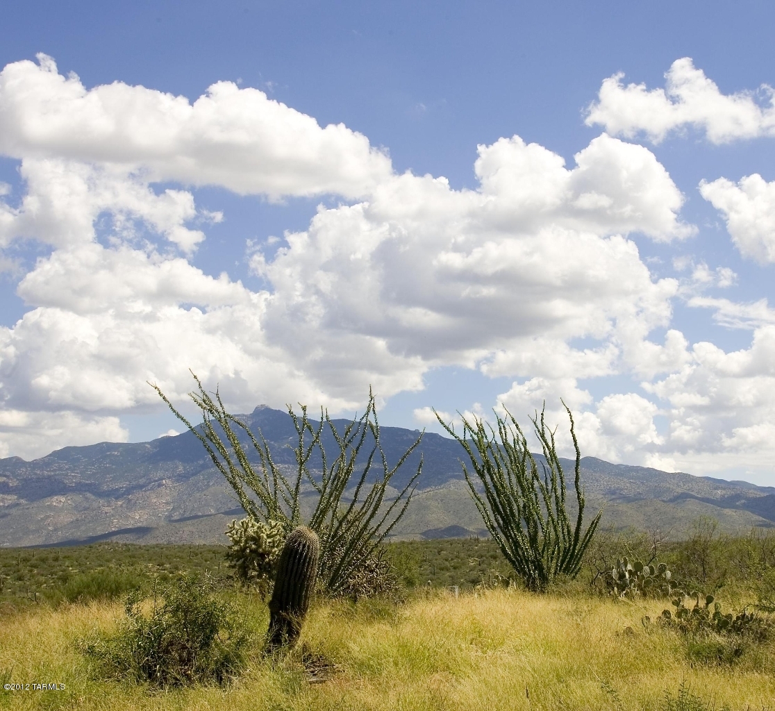 15510 E Tumbling Q Ranch Place Unit: 154