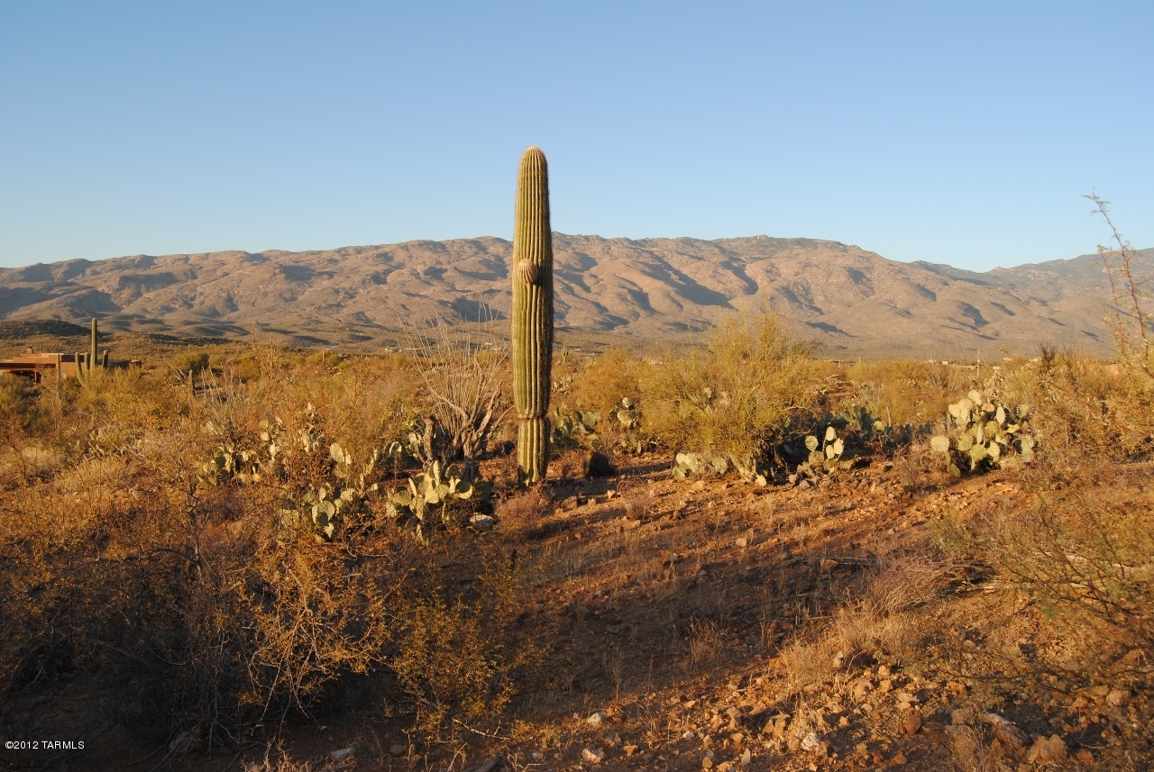 15510 E Tumbling Q Ranch Place Unit: 154