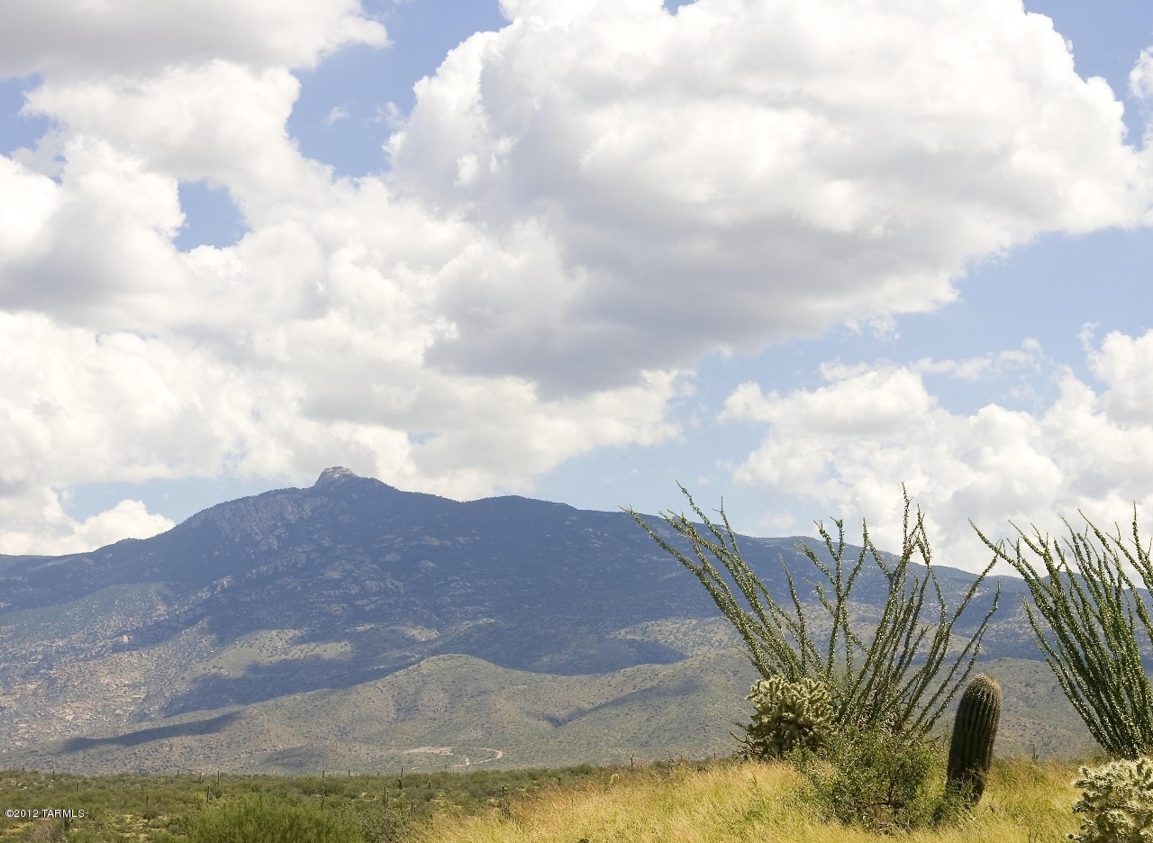 15510 E Tumbling Q Ranch Place Unit: 154