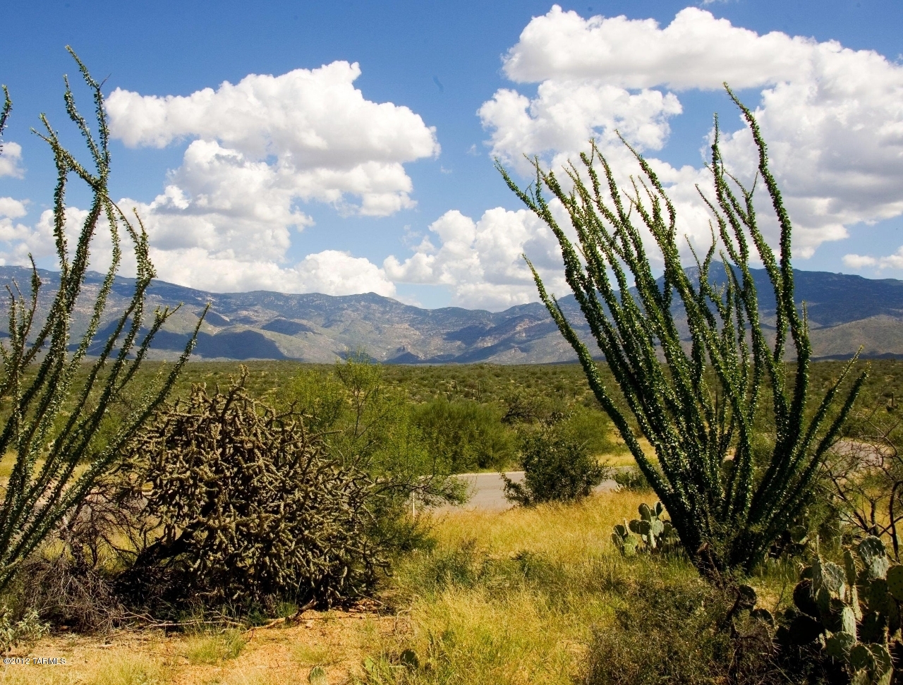 15510 E Tumbling Q Ranch Place Unit: 154