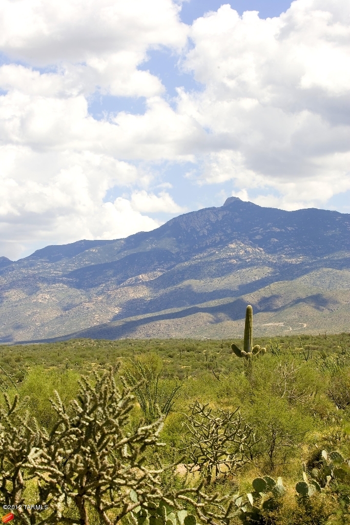 15510 E Tumbling Q Ranch Place Unit: 154