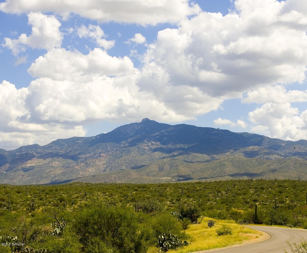 15510 E Tumbling Q Ranch Place Unit: 154