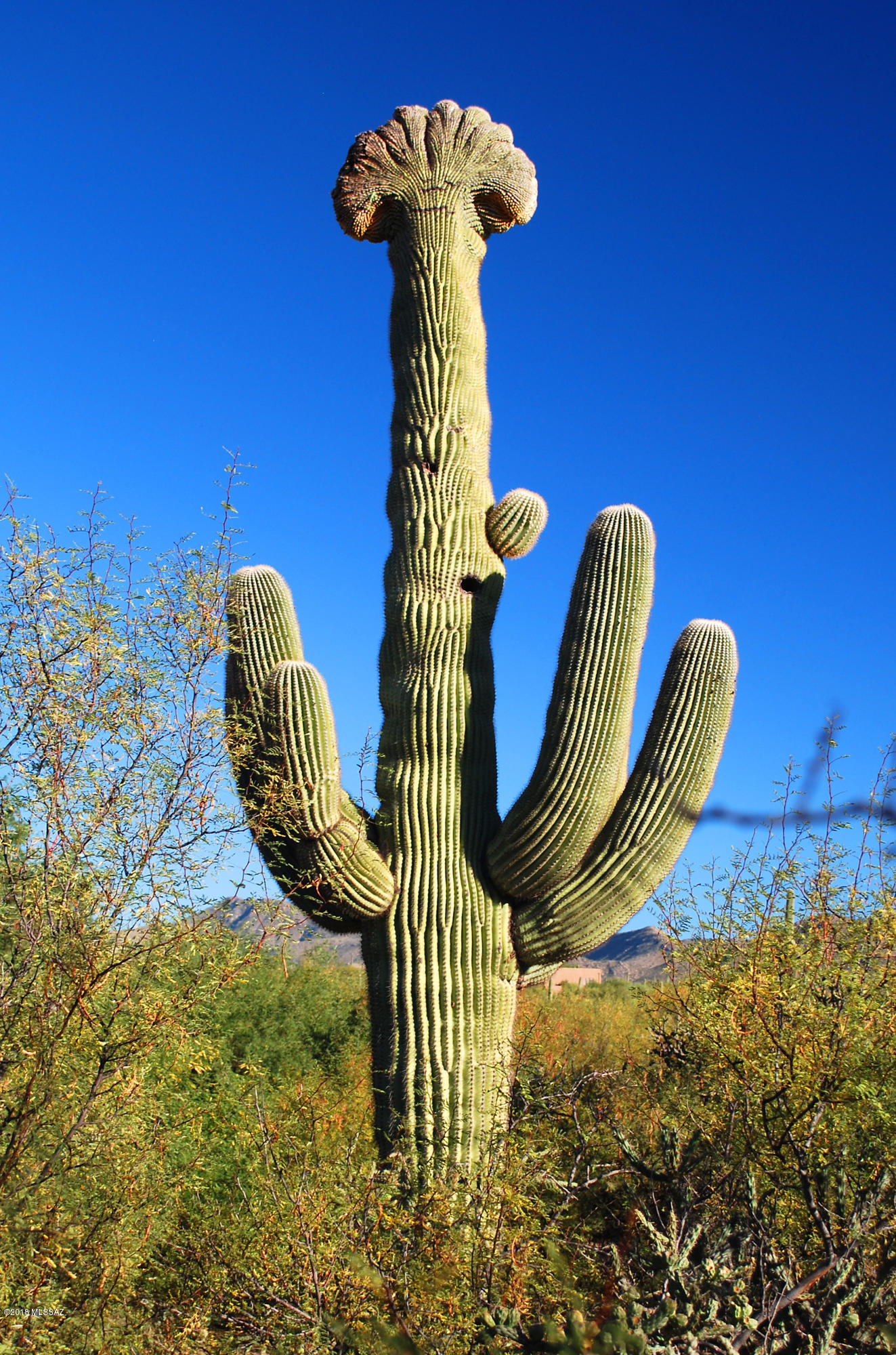 7970 S Circle C Ranch Road Unit: L-390